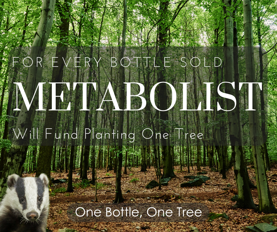 Forest scene with text about Metabolist's environmental initiative, featuring a badger.